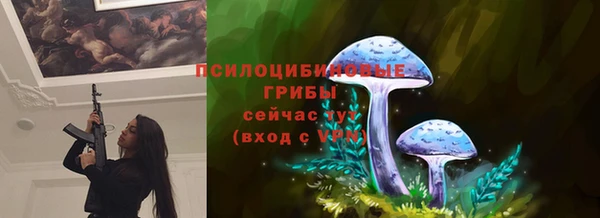 дживик Кодинск