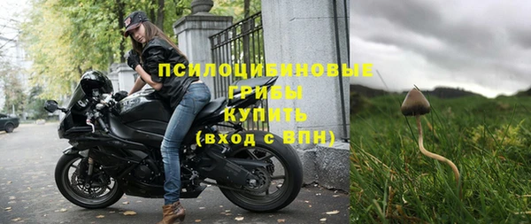 спайс Карпинск