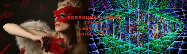 спиды Киренск