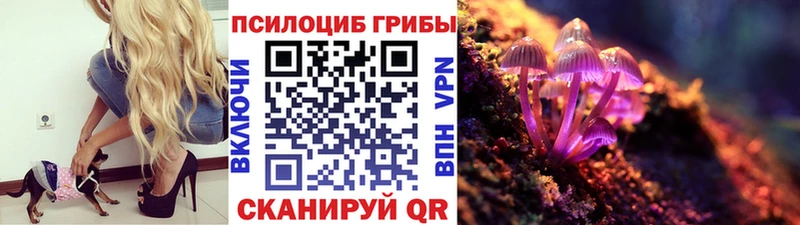 где продают   Обь  Псилоцибиновые грибы ЛСД 